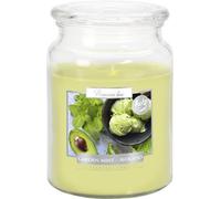 SolaDirect 18Oz Large Scented Candle In Glass Jar Fragrance Aromatic 100 Hr Burn Time (Garden Mint Avocado)