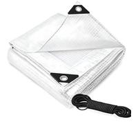 SolaDirect Clear Mesh Tarpaulin 2 X 3 M 100 Gsm Waterproof Transparent Uv Resistant Poly Mesh Cover, Aluminium Eyelets, 10M Bungee