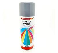 SolaDirect Grey Light Spray Paint Aerosol Auto Car Primer Matt Gloss Metallic Wood Metal Plastic