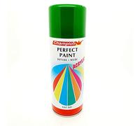 SolaDirect Mint Green Spray Paint Aerosol Auto Car Primer Matt Gloss Metallic Wood Metal Plastic