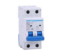 Solar DC Circuit Breaker NB1-63DC 2P DC500V Energy Photovoltaic Mini MCB 1A 2A 3A 4A 6A 10A 16A 20A 32A 40A 50A 63A(25 V)