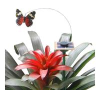 Solar Flying Butterfly, Solar Butterfly, Flying Butterfly, Floating Butterflies For Garden, Landscape, Decoration, Simulation And Educational Butterfly With The