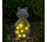 Solar Frog Garden Ornament with Lights - Pack of 1 - 24cm/9.5 inch Outdoor Frog Statue with Succulent Plant & LED Lights, Decorative Figurine for Patio, Balcony, Yard, Lawn - Unique Housewarming Gift