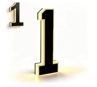 Solar House Numbers for Outside,9IN LED Illuminated Address Sign,Waterproof No-Drill Adhesive or Screw Mount,Dusk to Dawn for Outside Garden Yard Home Exterior (Number-1,M)