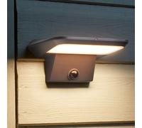 Solar PIR Sentry Security Light, Warm White, Fence and Wall Mount, 800 Lumens, S