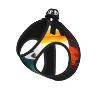 Solar System Jupiter Saturn Print Dog Harness,Pet Leash Vest For Small To Medium Dogs,Perfect For Outdoor Adventures