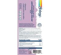 Solaray Ashwagandha Ksm-66 Plus Capsules 60 Units One Size Multicolor