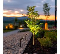SolarCentre® Juno Outdoor Solar USB Micro Spotlights - Set of 2