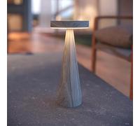 SolarCentre® Seattle DualWhite Indoor and Outdoor USB Solar Powered Table Lamp (Ash Grey)