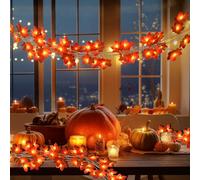 SolarEra 2 Pack Autumn Lights, Fall Decorations for Home, Leaves Garland with Lights, 30Ft 60LED Fall Leaf Decor String Lights, Thanksgiving Christmas Halloween Decorations Indoor Outdoor