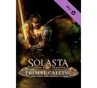 Solasta: Crown of the Magister - Primal Calling (PC) - Steam Gift - GLOBAL