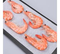 Solaughguy 50/100 Pcs Parchment Baking Paper Liners, 30x20 cm Rectangle Oil Absorption Sheets for Cake Pans, Cheesecake and Springform Pans, White Paper Baking(50PCS)