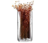 SOLAVIA Cylinder Column Flower Vase Large Glass Centrepiece Table Vase H31cm Container Avignon Collection 5L, Tank Vase