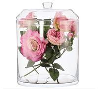 SOLAVIA Glass Extra Large Hand Crafted Ginger Jar and Lid Storage Decorative Weddings Candy Buffet, H35cm 25.5cm Terrarium Jar