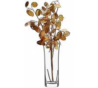 SOLAVIA Glass Vase Clear Centerpiece Table Trumpet Flower Vase H25cm D10cm Collection 2 L, Housewarming Gift Mother's Day