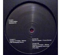 Soldiers Of Twilight - Believe / Future Domain