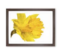 Sole Yellow Daffodil Painting Modern Art Framed Print | A2 Walnut Framed Wall Art | Ready to Hang | Modern Historical Picture | Living Room Bedroom Lounge Office