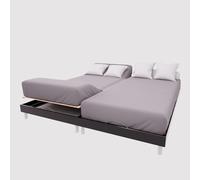Soleil d'ocre, TPR Cotton Fitted Sheet, 57 Thread Count, 2 x 80 x 200 cm, Plain Grey