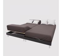 Soleil d'Ocre, TPR Fitted Sheet Cotton 57 Thread Count 2 x 80 x 200 cm Plain Brown