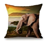 Solekla African Elephant on The Prairie Rustic Farmhouse Style Decorative Throw Pillow Cover Cushion Case for Sofa Couch Housewarming Home Decor Cotton Linen 18" x 18" Inch
