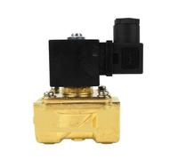 Solenoid Valve 21H9KV180 Brass 12V 24V 110V 220V(AC110V/8W)