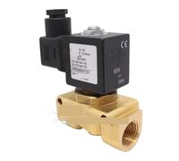 Solenoid Valve 21PW4K0V120, 110V 220V 24V 8W(8W/DC24V)