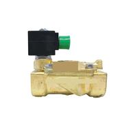 Solenoid Valve 21W4ZB250, Double Normally Open, Brass, 1-inch, 220V, 110V, 24V(8W/AC220V)