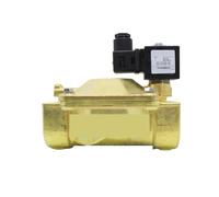 Solenoid Valve 21W6ZB400, Double Normally Open, Brass, 220V, 24V(8W/DC24V)