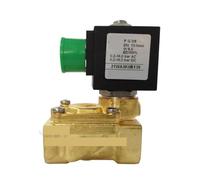 Solenoid Valve 21WA3K0B130, 2-Way Brass, DN10, 24V, 110V, 220V(AC220V/8W)