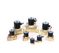 Solenoid Valve Water Air Model 2W-025-08 2W040-10 2W-160-15 2W-200-20 2W-350-35 2W-400-40 2W-500-50 AC220V 110V DC24V(Ac380v,2W-350-35)