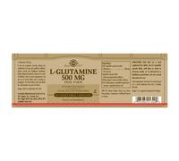 Solgar L-gluthamine 500mgr 50 Units One Size Brown