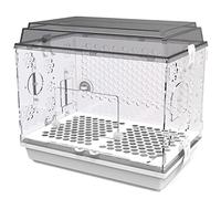Solid 18.5-inch Parrot Bird Cage for Finches Canaries, Parakeets, Cockatiels Parrotlet, Bird Cage with Detachable Rolling Stand and Water Bottle (2Black)