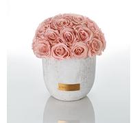 Solid Infinity Collection - Gorgeous Infinity Roses, 1-3 Year Durable Roses, Concrete Vase with Real Preserved Roses, Elegant Premium Roses - Size M (Antique Pink)