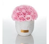 Solid Infinity Collection - Gorgeous Infinity Roses, 1-3 Year Durable Roses, Concrete Vase with Real Preserved Roses, Elegant Premium Roses - Size M (Bridal Pink)