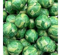 Solid Milk Chocolate Brussel Sprouts - 30 Novelty Christmas Chocolates - Great Secret Santa, Stocking Filler or Festive Decoration