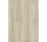 Solid Nashville 2582 Beige Brown Wood Effect Laminate Flooring For Home (All Room), 8mm Laminate Flooring 1.996 M²Per Pack