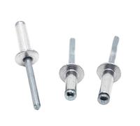 Solid Rivet 10/20pcs M2.4 M3.2 M4 M5 M6 GB12618 Aluminium Mushroon Head Break Mandrel Blind Rivets Nail Pop Rivet(M2.4 20pcs,12mm)