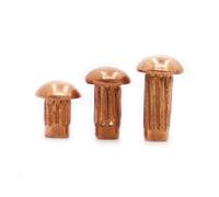 Solid Rivets Knurled Shanks, GB827 Copper Knurled Button Head Solid Shank Rivets for Name Plates, M2-M4, 50pcs(6mm)