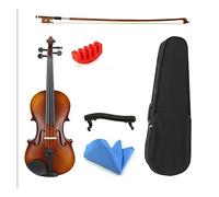 Solid Wood Flame Violin 4/4 3/4 Violino For Students Beginner Case Mute Bow Strings (Color : 4/4)