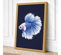 Solitary Betta Canvas Wall Art Print 36x24 Inch