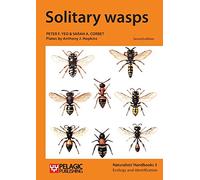Solitary wasps (Naturalists' Handbooks): 3