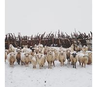 Solkyri - Sad Boys Club