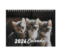 Sollee Wall Calendar 2026, Monthly Wall Calendar With Scenes Illustrations, Planner with Funny Paper for Cute Dorm Family Kids College School Apartment Home Teachers Bedroom House Kitchen Students