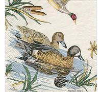 Sologne Pierre Ducks Frey Caspari Cocktail or Tea Napkins Paper 25 cm Square 20 in Pack