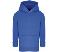 SOLS Childrens/Kids Connor Hoodie PC5952
