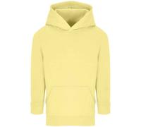 SOLS Childrens/Kids Connor Hoodie PC5952