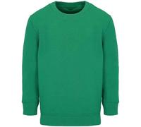 SOL'S Columbia Sweatshirt in Green | Size: 10 Years SOL'S Green 10 Years