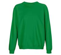 SOL'S Men's Columbia Crew Neck Sweatshirt in Green | Size: 2XL SOL'S Green 2XL