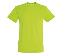 SOL'S Men's Regent Short Sleeve T-Shirt in Green | Size: 2XL SOL'S Green 2XL
