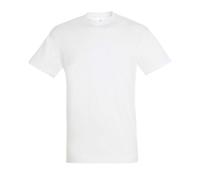 SOL'S Men's Regent Short Sleeve T-Shirt in Medium Beige | Size: 4XL SOL'S Medium Beige 4XL